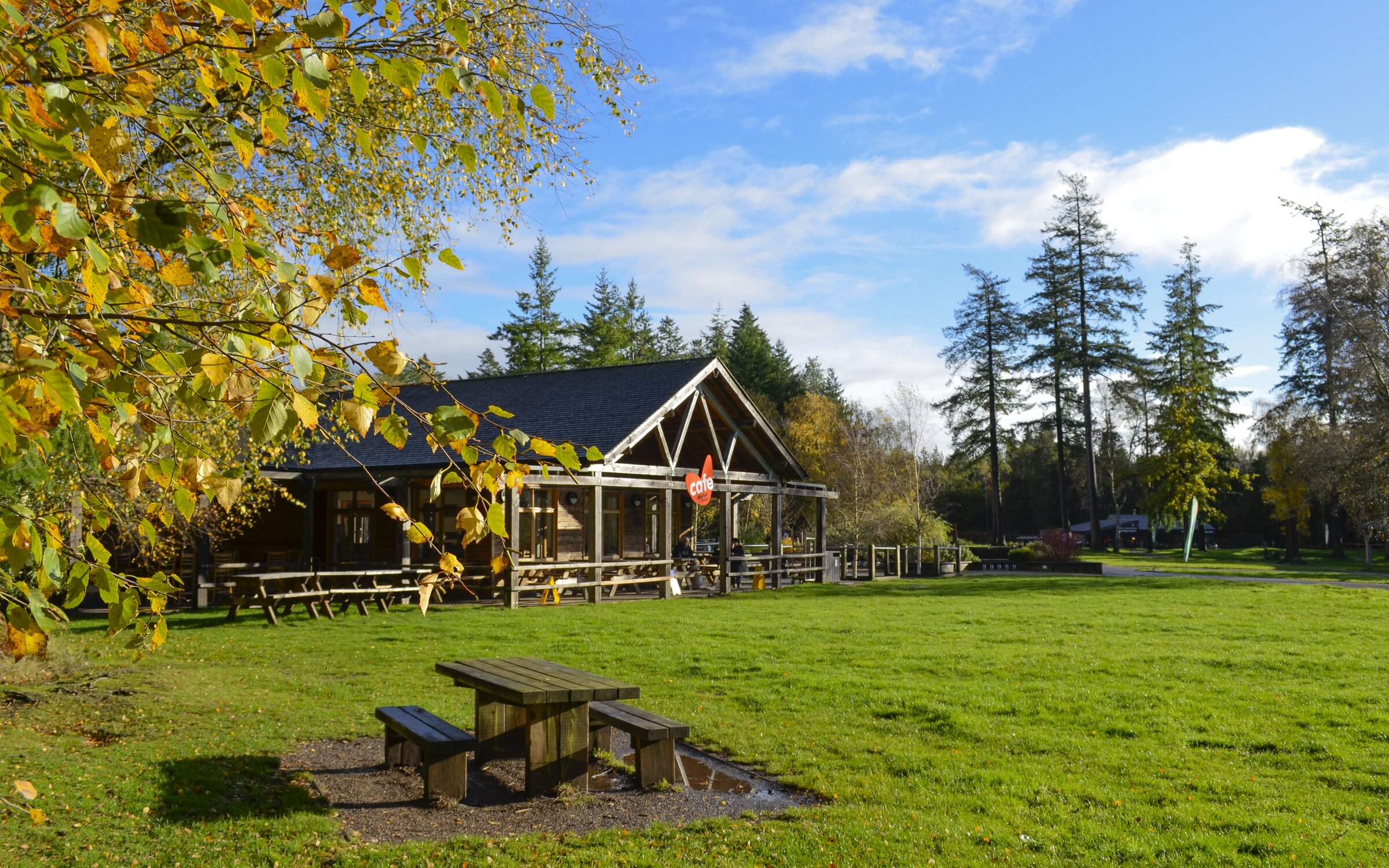 Alice Holt Forest visitor centre and picnic lawn