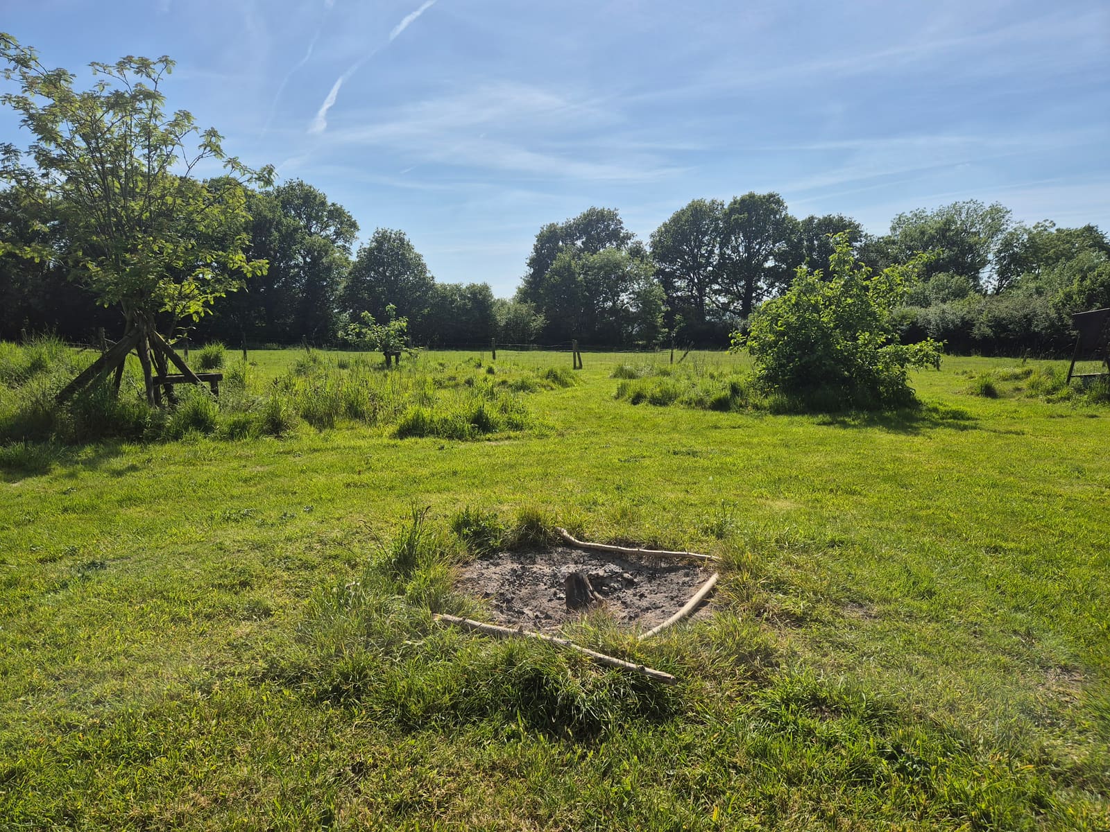 Open field with a campfire pit