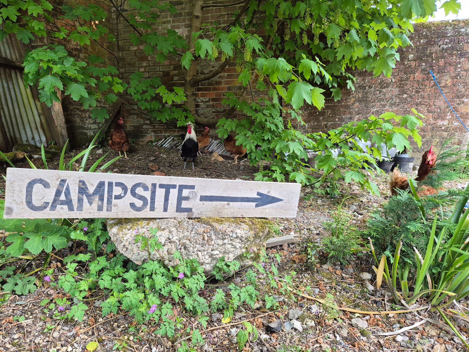 Hand-painted Campsite sign by the farm wall