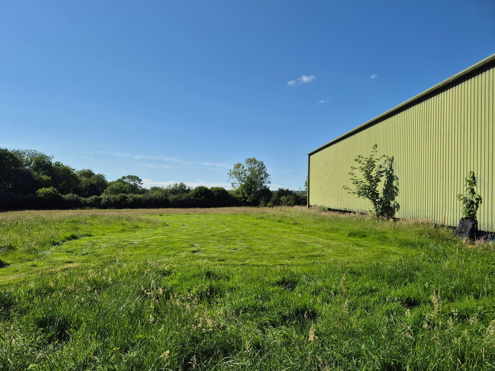 Level grassy pitches beside the barn under blue sky